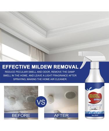 Quick-Acting Foaming Stain Remover Spray Cleaner Foam Suitable for Walls/Tiles/Floors/Sinks/Bathtubs and Toilets (1) - Buy Online on GoSupps.com