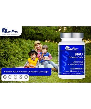 Buy CanPrev NAC (N-Acetyl-L-Cysteine) 120 Caps - Support Wellness & Detox | International Shipping Available - Buy Online on GoSupps.com