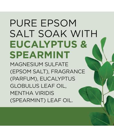 Dr Teal s Salt Soak with Pure Epsom Salt Relax & Relief with Eucalyptus & Spearmint 3 lbs (Packaging May Vary) - Buy Online on GoSupps.com