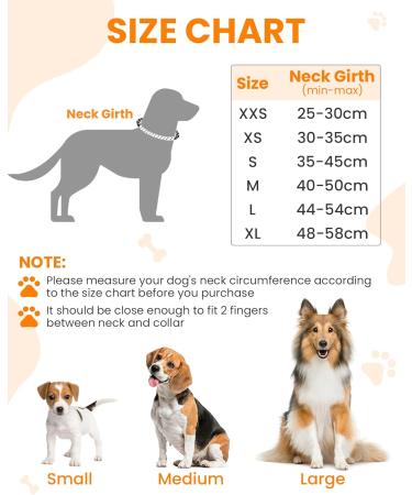 PETTOM Adjustable Nylon Dog Collar - Breathable Reflective XL Collar for Dogs (Orange) - Ideal for Comfort & Safety - Buy Online on GoSupps.com
