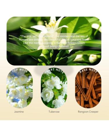 No.031 - Floral Eau de Parfum - Inspired by Bloom's Luxury Fragrance for Women Girls Long Lasting Perfume Spray - 1.7 Fl Oz/50 ml No.031 - Inspired by Bloom's - Buy Online on GoSupps.com