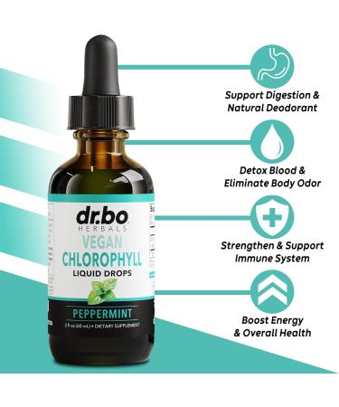 Chlorophyll Liquid Drops - Vegan Body Detox Supplement for Energy & Immune Support | Natural Odor Cleanse & Deodorizing | 2 oz - Buy Online on GoSupps.com