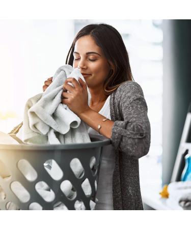 Dr. Beckmann Laundry Air Rose - Fresh Fragrance Without Fabric Softener | 3 Pack (3x250ml) - Suitable for All Textiles - Buy Online on GoSupps.com