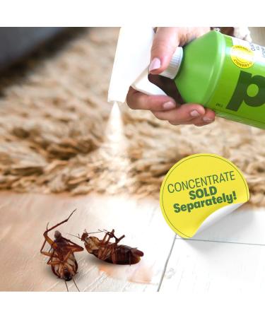 BugMD Refillable Spray Bottle 32 oz - Use with BugMD Pest Control Essential Oil Concentrate - 3 Spray Modes-Lock - Pest Repellent Mist for Home - Durable BPA-Free 32 Fl Oz (Pack sold separately) - Buy Online on GoSupps.com