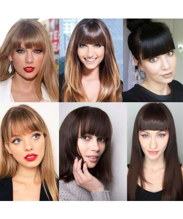 clip in bangs for women Clip in Bangs Synthetic Bangs Hair Clip in Extensions French Natural Fringe Bangs Clip in Thick Front Neat Flat Bang Short Straight Hair piece Bangs with Temples Bangs Hair (C SW65-12H22 - Buy Online on GoSupps.com