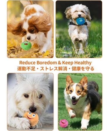 Tongktai Plush Dog Toy Balls 4 Pack - Squeaky Soft Plush Balls for Small & Medium Pets | Interactive Retrieval Game - Pink Blue Yellow & Green - Buy Online on GoSupps.com