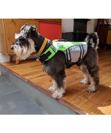 Vivaglory Dog Life Jacket - Adjustable & Durable Sports Style with Excellent Buoyancy for Small Dogs (Chest 48-58 cm) - Neon Green - Buy Online on GoSupps.com