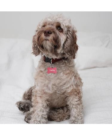 Personalized Pink Dog Tag Bone - Engraved with Key Rings - Large 38mm - Buy Online on GoSupps.com