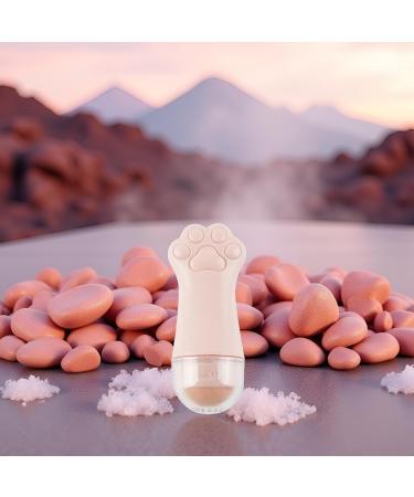 GANPUB Pink Face Oil Absorbing Roller Natural Volcanic Roller Oil Control Rolling Matte Makeup Face Skin Care Tool Facial Cleaning Oil Absorption Roller Popular Facial Oils Creams and Moisturizers - Buy Online on GoSupps.com