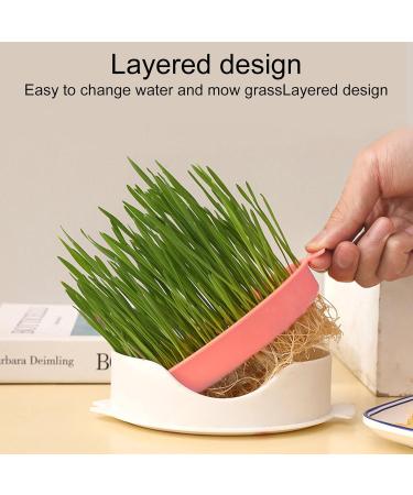  Tebinzi Catnip Cup Catnip Planter Hydroponic Catnip Culture - Cultivation Box Planting Soiless Fish Shape with Mesh Tray for Tebinzi - Buy Online on GoSupps.com