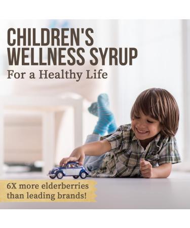 Honey Gardens Elderberry Syrup for Kids with Honey Kids Elderberry Syrup 6.4 mg of Elderberry Honey Syrup with Organic Raw Honey Organic Echinacea Purpurea and Elderflower 24 Servings 4 FL. OZ. - Buy Online on GoSupps.com
