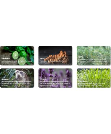  CALIFORNIA DREAMING Original beard oil (Original + Mint AE 50 ml) - Buy Online on GoSupps.com