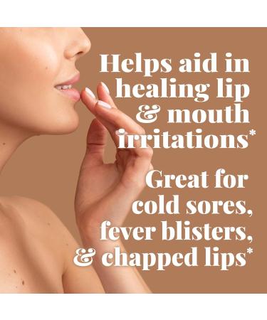 Basic Organics L-Lysine Ointment 0.87 oz (Pack of 5) - Buy Online on GoSupps.com