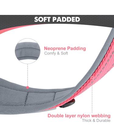 Joytale Padded Neoprene Dog Collar for Large Dogs - Reflective Nylon Wide Collar in Pink (L) - Comfortable & Stylish - Buy Online on GoSupps.com