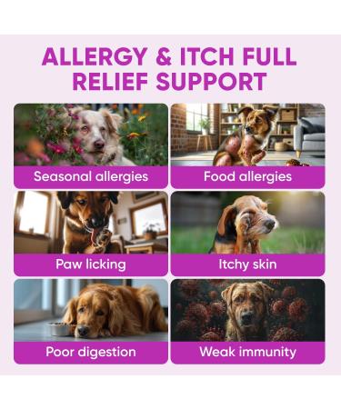 Allergy Chews - Turmeric Root & Pumpkin Powder - Vet Formulated in The USA - Skin Health Support - Buy Online on GoSupps.com