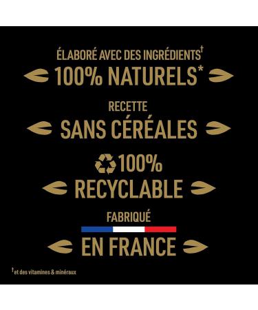 CESAR Natural Goodness - 24 Cans of 400g (Pack of 8 Packs of 3 Cans) - In Terrine for Adult Dogs (3 varieties - Beef / P - Buy Online on GoSupps.com