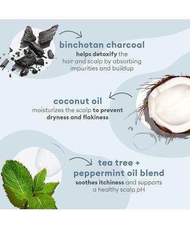 Briogeo Scalp Revival Scalp Soothing Set | Scrub, Shampoo, Mask, Massager | Dry Scalp Treatment | Soothe Dry, Flaky, Itchy, Oily Scalp | 14.3 oz - Buy Online on GoSupps.com