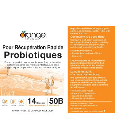 Orange Naturals - Rapid Restore Probiotic 60 v-caps - Helps to Maintain and Support Immune Function - Promote a Favorable Gut Flora - Source of Probiotics 60 count (Pack of 1) - Buy Online on GoSupps.com