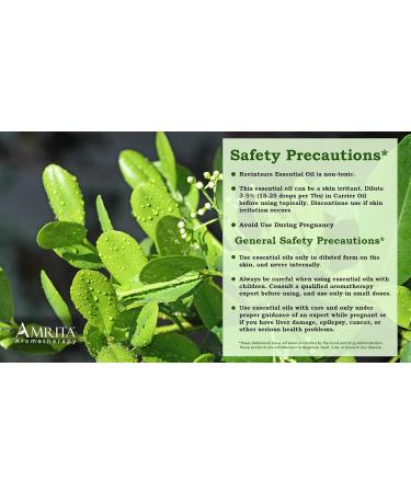 Amrita Aromatherapy Organic Ravintsara Essential Oil 100% Pure Undiluted Cinnamomum camphora Therapeutic Grade Premium Quality Aromatherapy Oil Tested & Verified 60ML - Buy Online on GoSupps.com