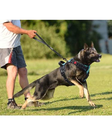 POPOT No Pull Dog Harness - Reflective Pet Vest with Control Handle for Daily Training & Walking - Mint Blue XL - Buy Online on GoSupps.com