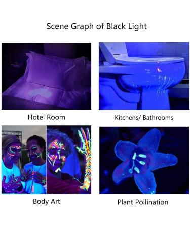 LED UV Flashlight - 395nm Black Light Pet Urine & Stain Detector for Clothes Carpets & Rugs - 1 Pack - Buy Online on GoSupps.com