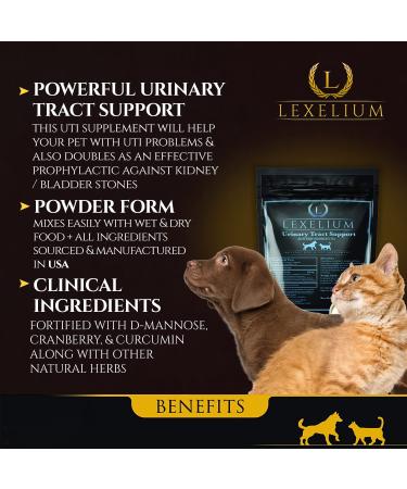 Organic Urinary Tract Infection Support for Dogs & Cats - Cranberry, D-Mannose, Curcumin - Promotes Kidney & Bladder Health - Prevents Stones - 200g - Buy Online on GoSupps.com