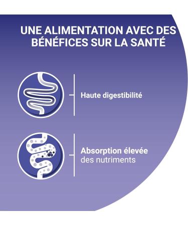 PURINA ONE Sensitive Cat Tapered in Sauce Assorted Flavors Chicken and Tuna Meal Bags for Adult Cats 4x85g | Pack of 12 - Buy Online on GoSupps.com