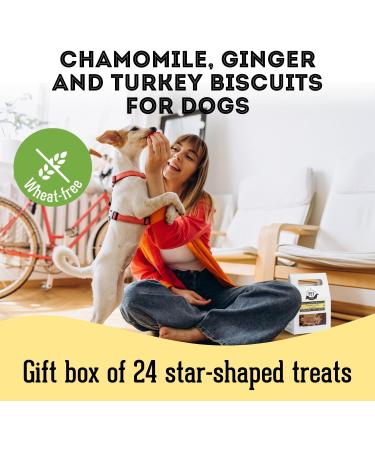 The Granville Island Pet Treatery|Gift Box Chamomile Ginger & Turkey Biscuits for Dogs All Natural & Chemical- Free Great As A Hostess Gift Or Thank You Made in Canada|88865 Ginger & Turkey 135 g (Pack of 1) - Buy Online on GoSupps.com