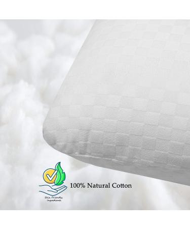 Wuronsa Ear Pillow with Ear Hole for CNH and Sore Ear Pain - Ear Piercing Pillow for Side Sleepers - Supports Earplugs for Sleep - White - Buy Online on GoSupps.com