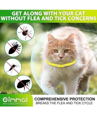 Cat Collar Set of 4 - 48cm - Stylish Green & Yellow Design for International Shipping - Buy Online on GoSupps.com