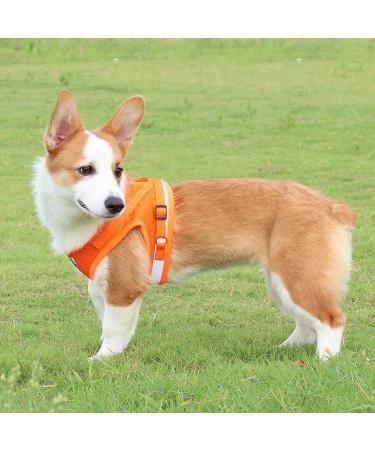 Femax Dog Harness & Linen Set - Soft Mesh Padded Dishes for Puppies & Cats Reflective Adjustable Breathable Vest for Walking & Training (Breast 30-34 cm) - Orange - Buy Online on GoSupps.com