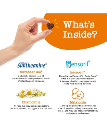 Zesty Paws Calming Chews for Dogs - Stress Relief with Ashwagandha & Melatonin - Buy Online on GoSupps.com