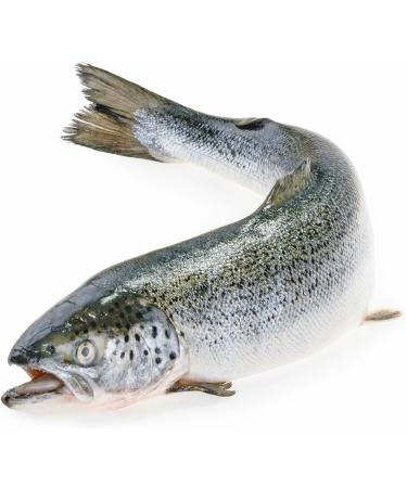 Greenfood Omega 3 fish oil 1000 mg extra high dose 90 capsules - contributes to normal brain function. No artificial additives. No genetic engineering. - Buy Online on GoSupps.com