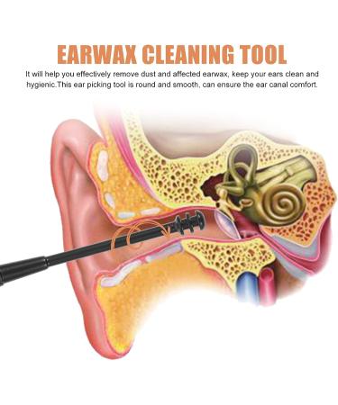 Healvian Ear Wax Removal Kit - Stainless Steel Ear Cleaners Set with Storage Box - Buy Online on GoSupps.com