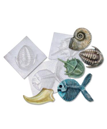 Molds  Fossil