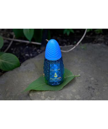 Pino Silvestre Italian Citrus Perfume for Men - Woody Aromatic Scent - Blended with Lemon Pine Apple Patchouli and Musk - for Calm Collective Gentlemen - 4.2 oz EDT Spray - Buy Online on GoSupps.com