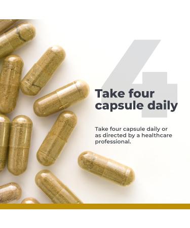 Premier Research Labs CogniTropic - Brain Supplements for Memory and Focus Focus Supplement Brain and Memory Power Boost Clarity Vitamins for Brain Memory Support - 120 Vegetarian Capsules - Buy Online on GoSupps.com