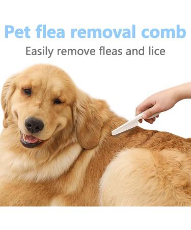 2Pcs Flea Comb Flea Comb for Dogs Cat Comb Tear Stain Removal Cat Comb for Grooming and Dehairing Face and Paws Tooth Comb Grooming Set Remove Float Hair Tear Marks Tick Removal Tool - Buy Online on GoSupps.com