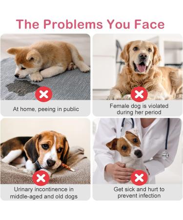 Flying Paws Disposable Dog Diapers - Adjustable Size for Dogs & Cats | 10-40 Pack Available - Buy Online on GoSupps.com