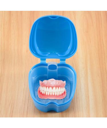 Scalewbin Prostheses Suitcase - Travel Storage Box for False Teeth with Cup & Sieve | Blue Bath Box Container - Buy Online on GoSupps.com