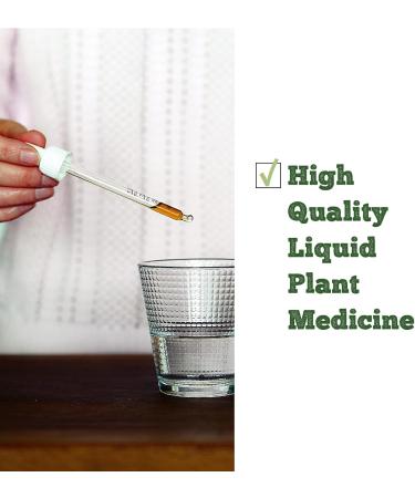 St. Francis Herb Farm Rhodiola Herbal Tincture Liquid | Used as an Adaptogen to Relieve Stress | Relieve Mental Fatigue & Sensation of Weakness | Supports Cognitive Function | Supports Mental Focus & Stamina | Organic | Non-GMO | Vegan | (250ml) - Buy Online on GoSupps.com