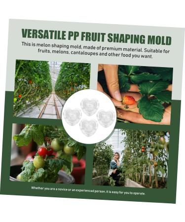 NUOBESTY 4pcs Heart Strawberry Mold Vegetables Fruit Shaping Molds Pear Melon Supply Watermelon Stereotypes - Buy Online on GoSupps.com