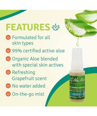 Aloe Life SG Aloe Mist Gel - Skin Conditioner with Aloe Vera Juice Concentrate & Vitamins A, C, E - Hydrates Skin & Hair - 4 oz - Buy Online on GoSupps.com