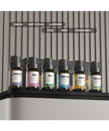 Premium Essential Oils Gift Set - Lavender Lemon Peppermint Chamomile Deep Sea & Rose Oils | Elevate Your World - International Shipping Available - Buy Online on GoSupps.com