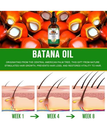 KARLOR Batana Oil Hair Growth 60ml Organic Hair Growth Oil Batana Oil Promotes Hair Growth Strengthens Hair Roots for Damaged Hair Hair Growth Hair Care Nourishing for More Shine - Buy Online on GoSupps.com