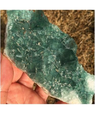 Gemstones and Crystals 33-900g Natural Green Fluorite Cluster Specimen Reiki Quartz QINTINYIN Stone Mineral Specimen (Size : 900-950g) - Buy Online on GoSupps.com