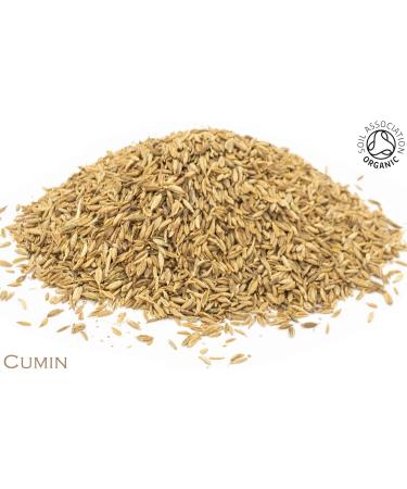 Organic Cumin Seed Pure Herbal Infusion (25 Unbleached Tea Bags - 50g) - Buy Online on GoSupps.com