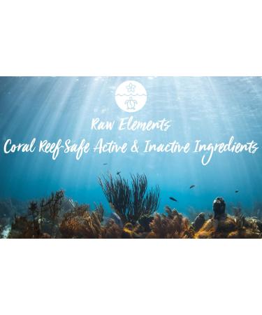 Raw Elements Face and Body Mineral Sunscreen SPF 30+ - 95% Organic, Water Resistant, Reef Safe, Cruelty Free - 3oz Bio-Resin Tube, Moisturizing Formula - All Ages Safe - Buy Online on GoSupps.com