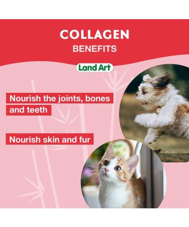 Pet Collagen Supplement Joint Care Formula with Grass Fed Beef Hydrolyzed Collagen Natural Beef Flavor - 500ml GMO Free Gluten Free Sugar Free - Made in Canada - Buy Online on GoSupps.com