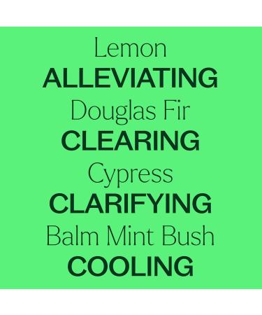 Plant Therapy KidSafe Quiet Cough & Sniffle Stopper Essential Oil Blends for Diffusion 10 mL (1/3 oz) Each 100% Pure undiluted Natural Aromatherapy for Respiratory Support - Buy Online on GoSupps.com